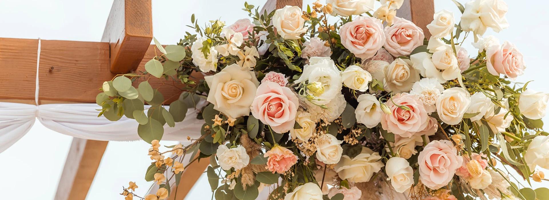 The Ridge at Playa Grande Cabo San Lucas The Ridge at Playa Grande Cabo San Lucas